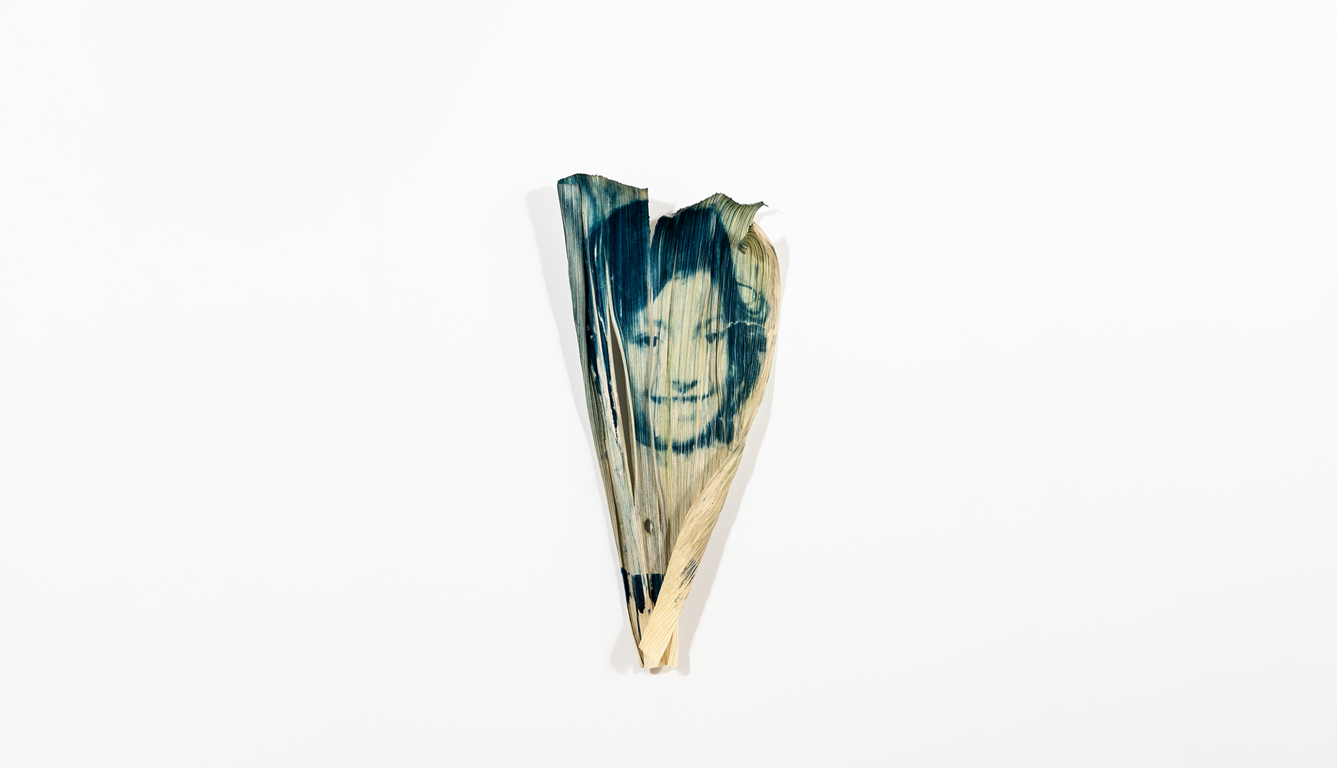 Elizabeth Z. Pineda cyanotype portrait printed on a corn husk