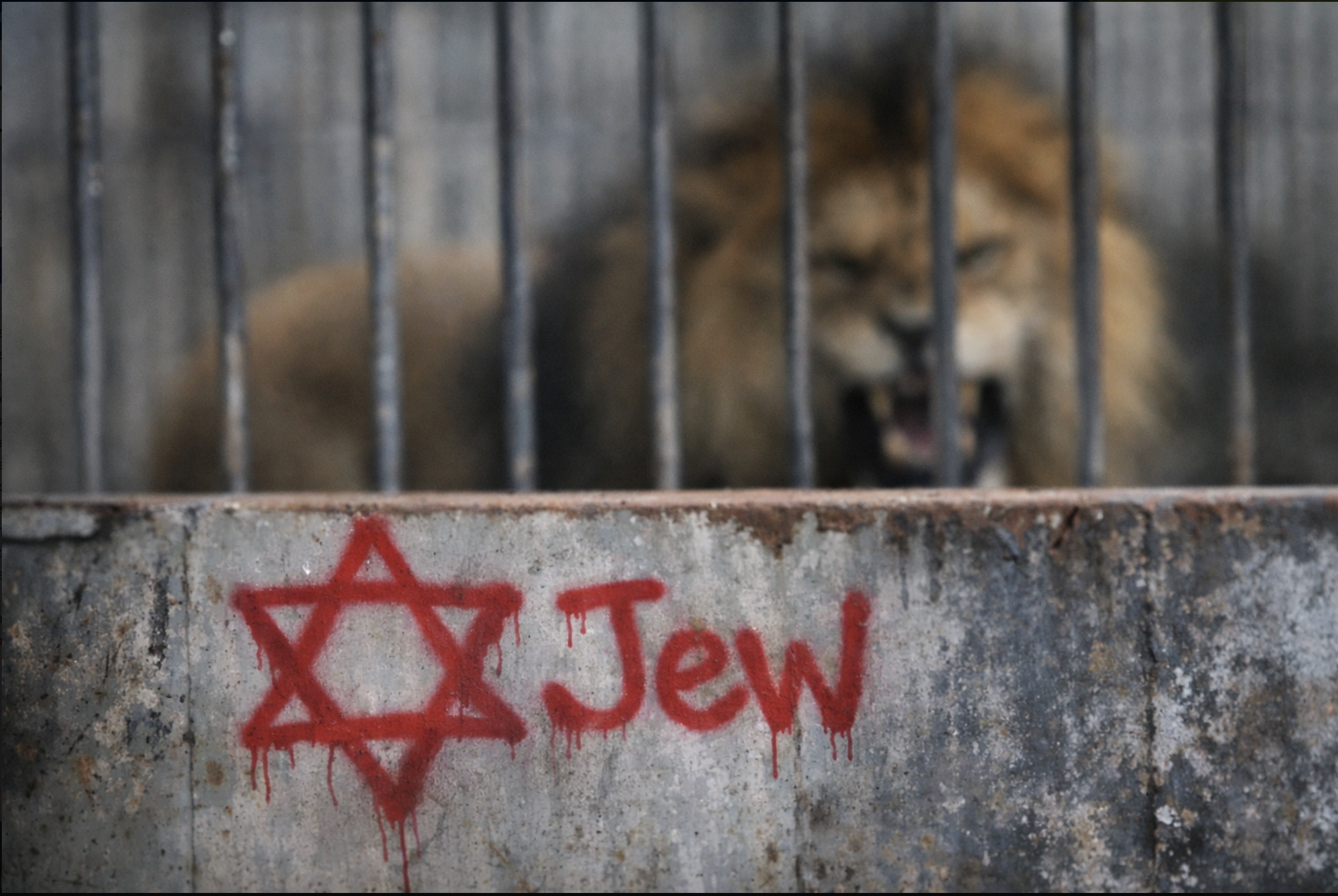 A lion behind bars above antisemitic graffiti
